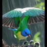 iThia profil fotoğrafı