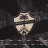 أبـو أليــن - النخبــوي 💚🏆's profile picture