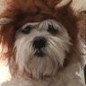 Bandit_18's profile picture