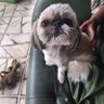 Maris profil fotoğrafı