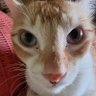 merie Cem profil fotoğrafı