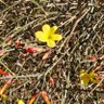 Profilbild von 咖咖