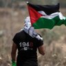 Freedom Fighter's profile picture