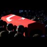 mehmet k. 的头像