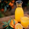 Orange juice's profile picture