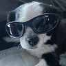 Profilbild von LicketySplit