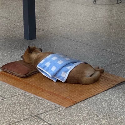 gggfjall's profile picture