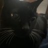 Profilbild von Esthx