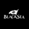 Фото профиля BlackSea Technologies
