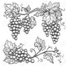 Fruitful Grace Co.'s profile picture