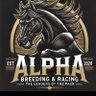 Alpha Thoroughbreds 的头像