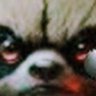 DastardlyDeeds KungFooFuckery's profile picture