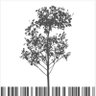 Fake Plastic Trees's profile picture