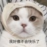 Wang 的头像