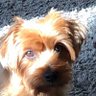 Lorraine12374 profil fotoğrafı