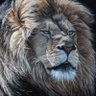 Profilbild von Leo