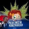 Paprotka's profile picture