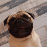 Ramiroquai's profile picture
