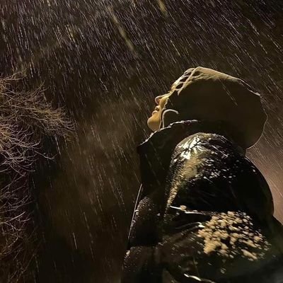 KelebekRiham's profile picture