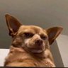 Darc Babyboy🪐's profile picture