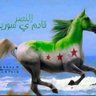 Walid Aladib's profile picture