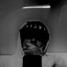 Profilbild von RebelSoulMedia