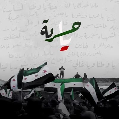 ward_337's profile picture
