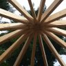 Practical Woodworker's profile picture