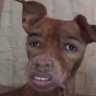 yo's profile picture
