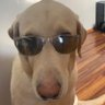 Sean W. Smith's profile picture