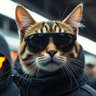 Profilbild von Incognito Cat 🛡️ priv/acc