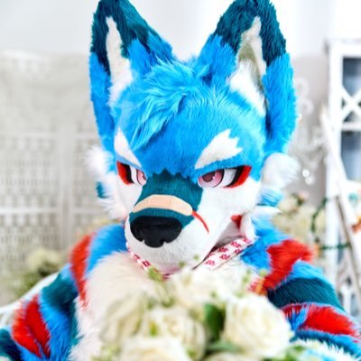 KoriGami 🐺🦈 🔜 UTFG2026🇹🇼's profile picture