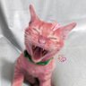 แมวชมพู 🐱🐾 I'am ANY 🦋 profil fotoğrafı