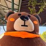koko ψ(`∇´)ψ profil fotoğrafı