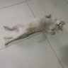 Ttangtai's profile picture