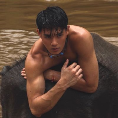 tr4nnh4t's profile picture