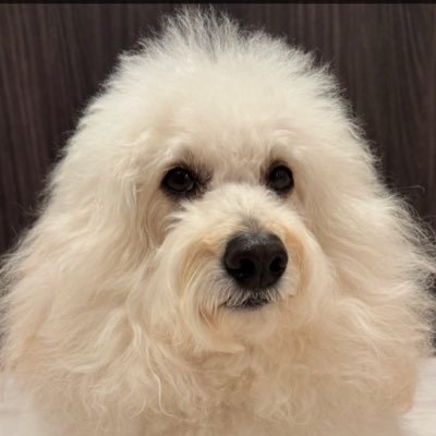 leoriku0126's profile picture