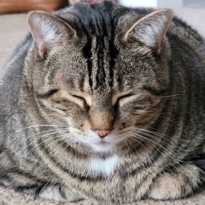 Mewrtin's profile picture