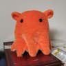 Tako's profile picture