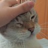 dry lag profil fotoğrafı