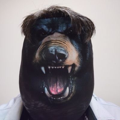 すけさん(🐻のコスプレーヤー・資本主義の熊)'s profile picture