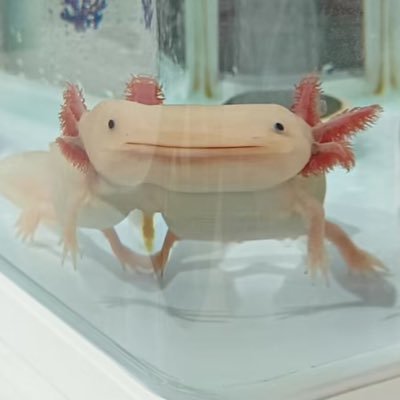 本刊目录's profile picture