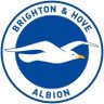 Brighton supporter is the man profil fotoğrafı