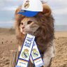 Ammar12's profile picture