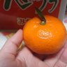 るるる profil fotoğrafı