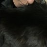 亜龍 profil fotoğrafı