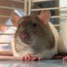 Profilbild von Jerry