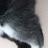 うぽうぽ profil fotoğrafı
