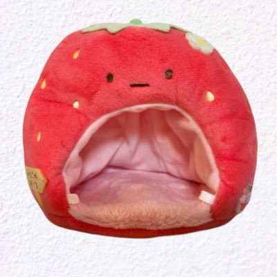 rinfujichan's profile picture