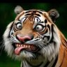 Denz profil fotoğrafı